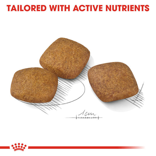 Royal Canin | Maxi Dog | Relax Care