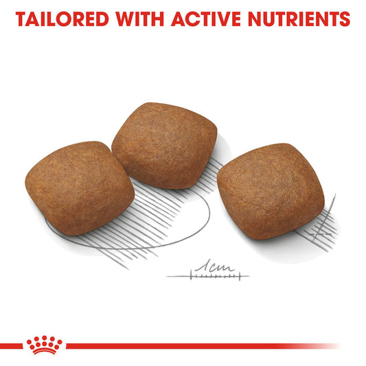 Royal Canin | Maxi Dog | Joint Care