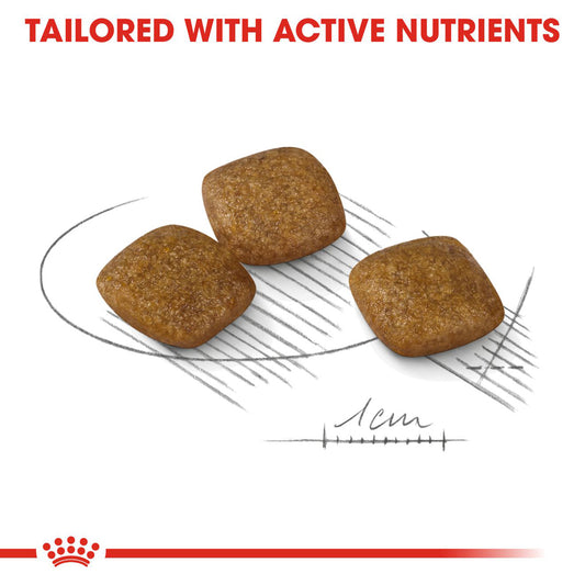 Royal Canin | Mini Dog | Relax Care