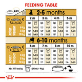 Royal Canin | Pug Puppy | VetX