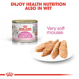 Royal Canin | Mother & Babycat | VetX