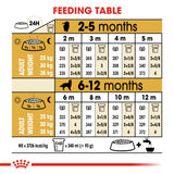 Royal Canin | Golden Retriever Puppy | VetX