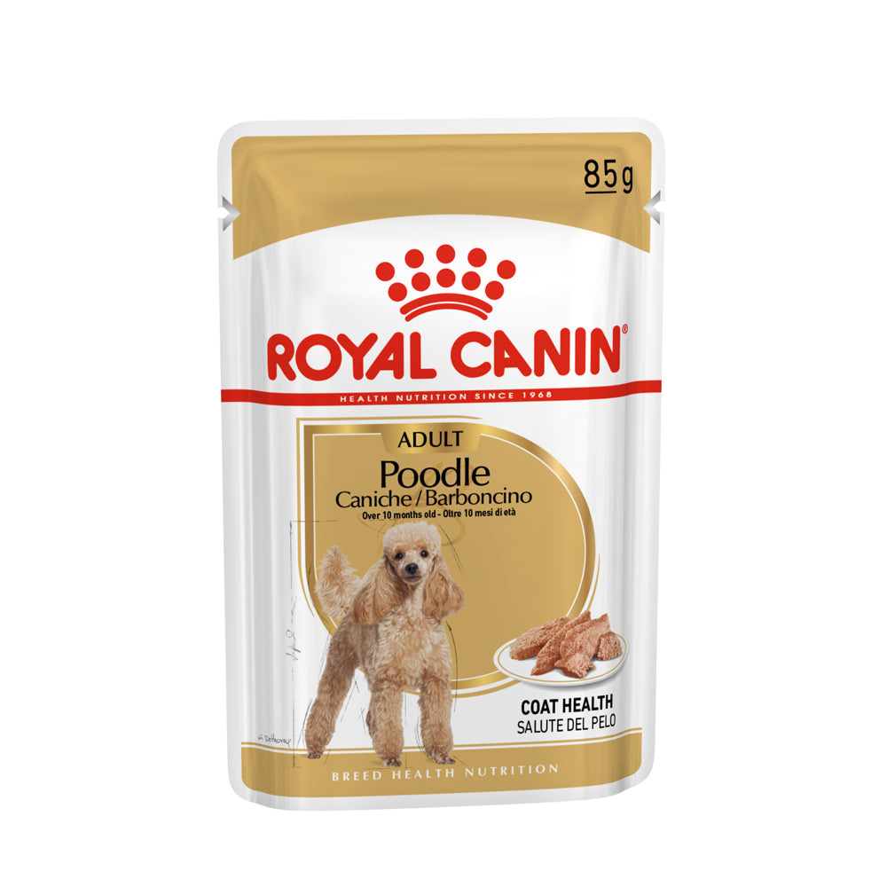 Royal Canin | Poodle Adult | Wet Food Pouch | VetX