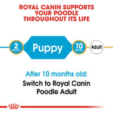 Royal Canin | Poodle Puppy | VetX