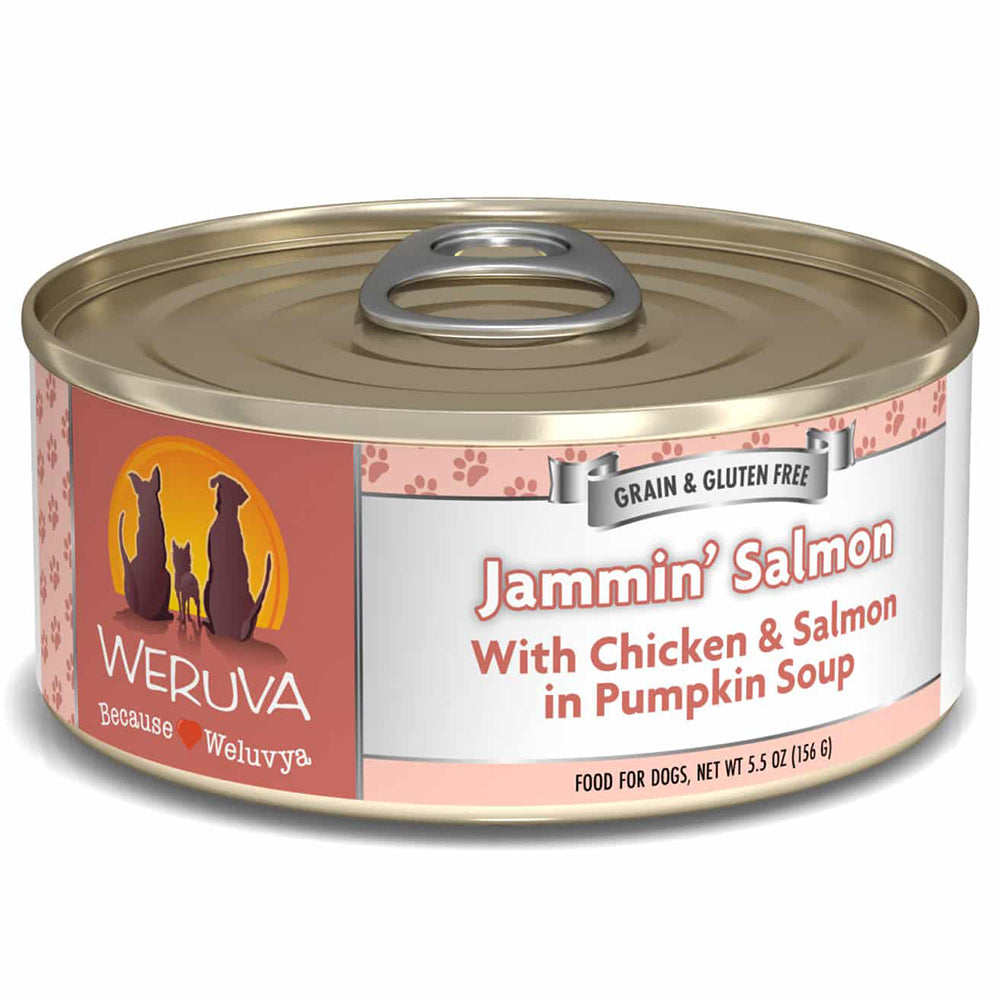 Jammin' Salmon For Dogs | VetX