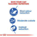 Royal Canin - Indoor | VetX