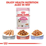 Royal Canin - Kitten | VetX