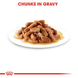 Royal Canin - Kitten Instinctive in Gravy | VetX