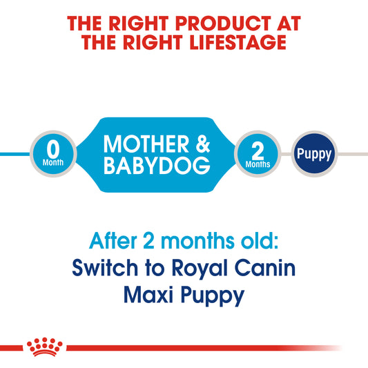 Royal Canin - Maxi Starter Mother & Baby Dog | VetX