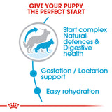 Royal Canin - Maxi Starter Mother & Baby Dog | VetX