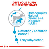 Royal Canin - Mini Starter Mother & Baby Dog | VetX